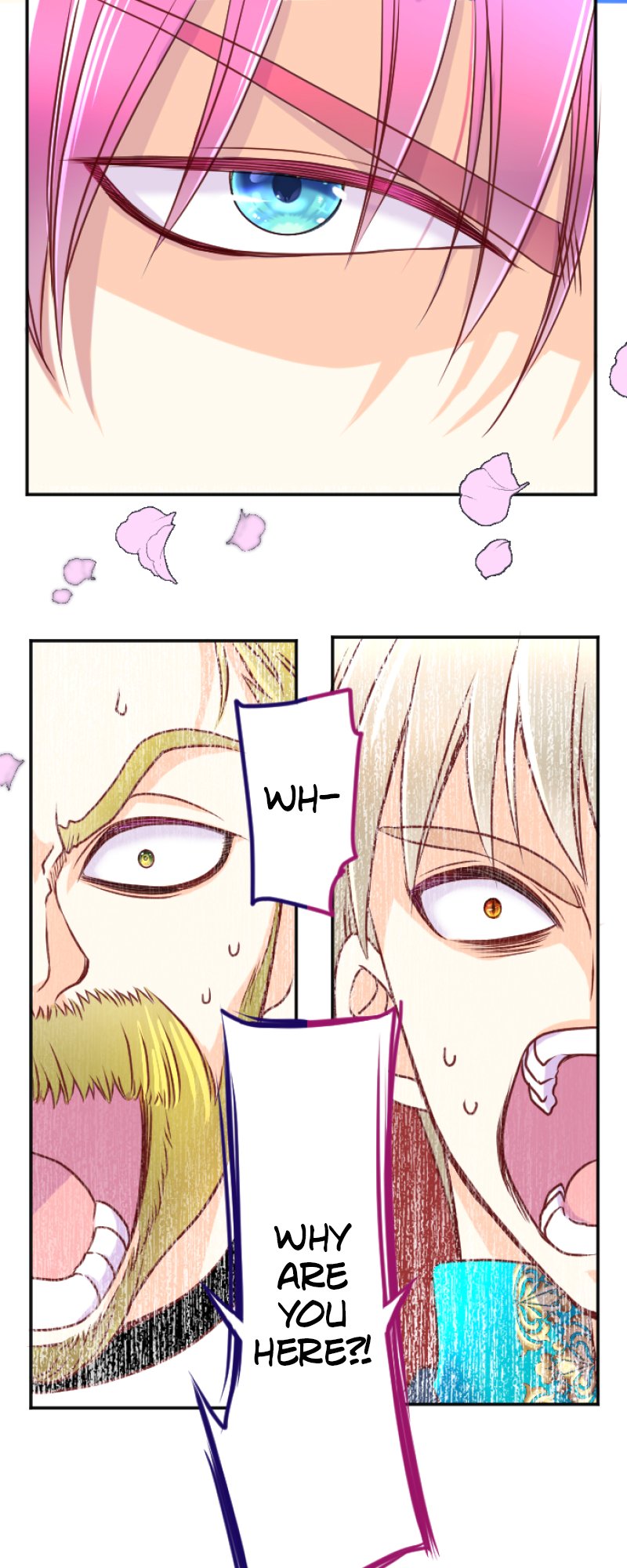 50298389 800 2000 247457